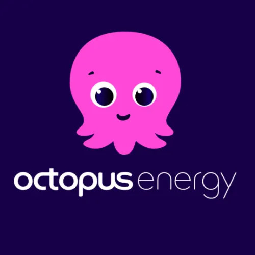octopus energy tariffe basse luce e gas